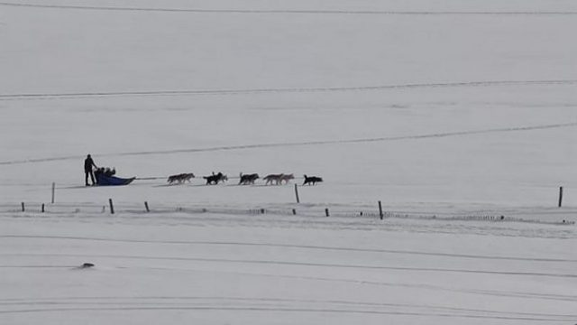 Le fantôme du col de Guéry ?