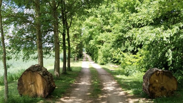 ??????????????????????????????????????????????????????????????????????????????????????????????????????????????????????????????????????????????????????????????????????????????????????????????????????????????????????????????????????????????????????????????????????????????????????????????????????????????????????